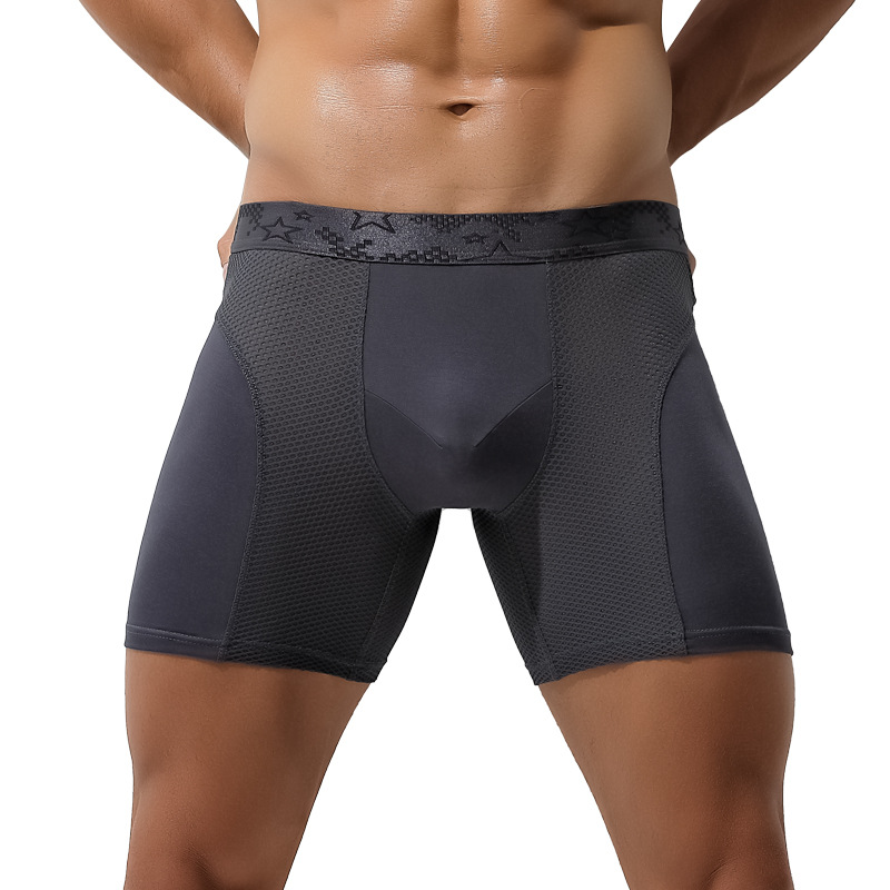 Pouch Boxer Pouch - Men Underwear Modal Mesh Boxers Shorts