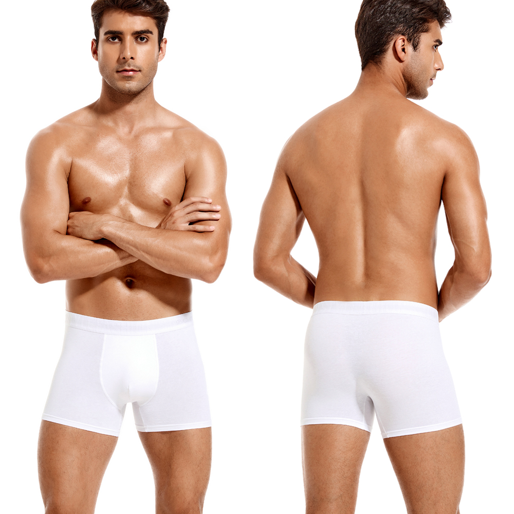 6pcs White Men Panties Cotton  - Boxer Brief Pack Cotton 评论和价格