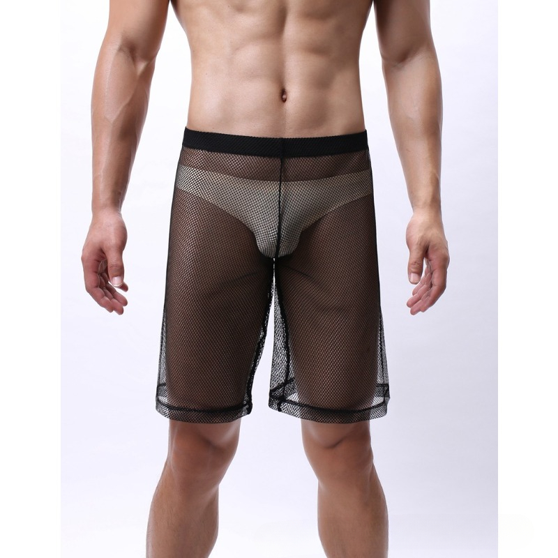 Low Rise Mesh Erotic Underwear - Pouch Boxer Pouch 评论和价格