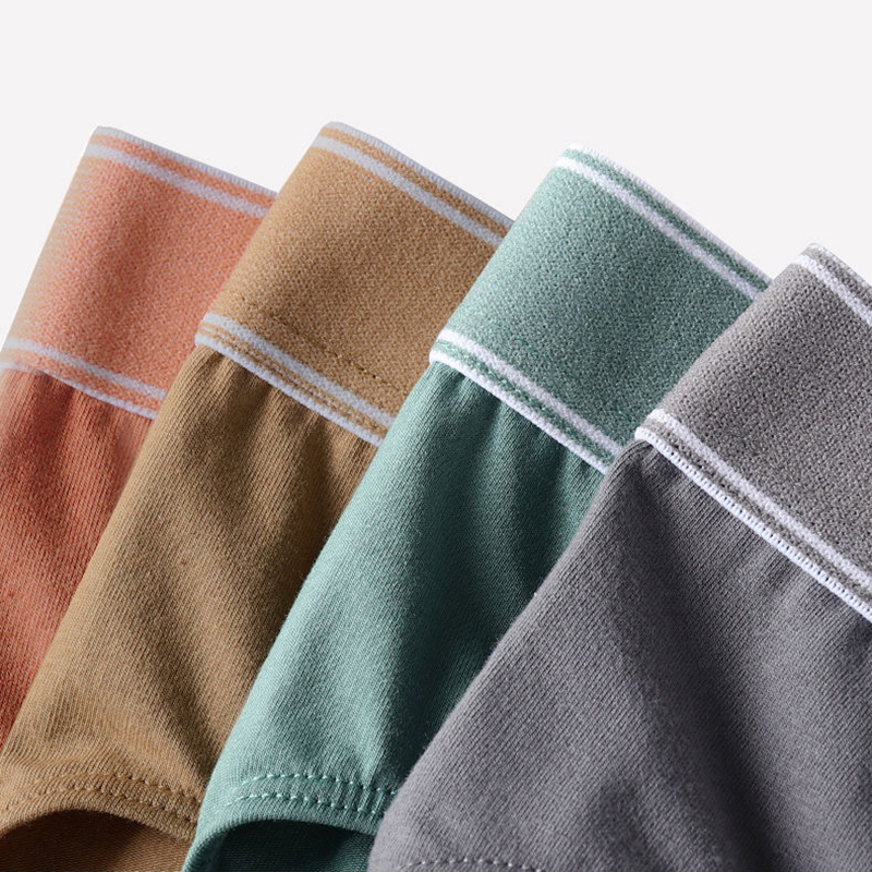 4Pcs/Lot Men's Briefs Sexy Und - Multi Pack Underwear 评论和价格